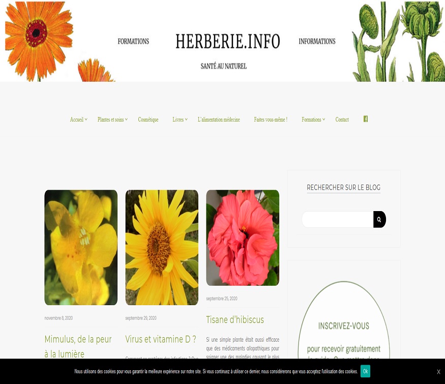 Website Herberie