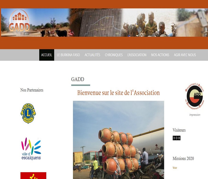NGO Website project